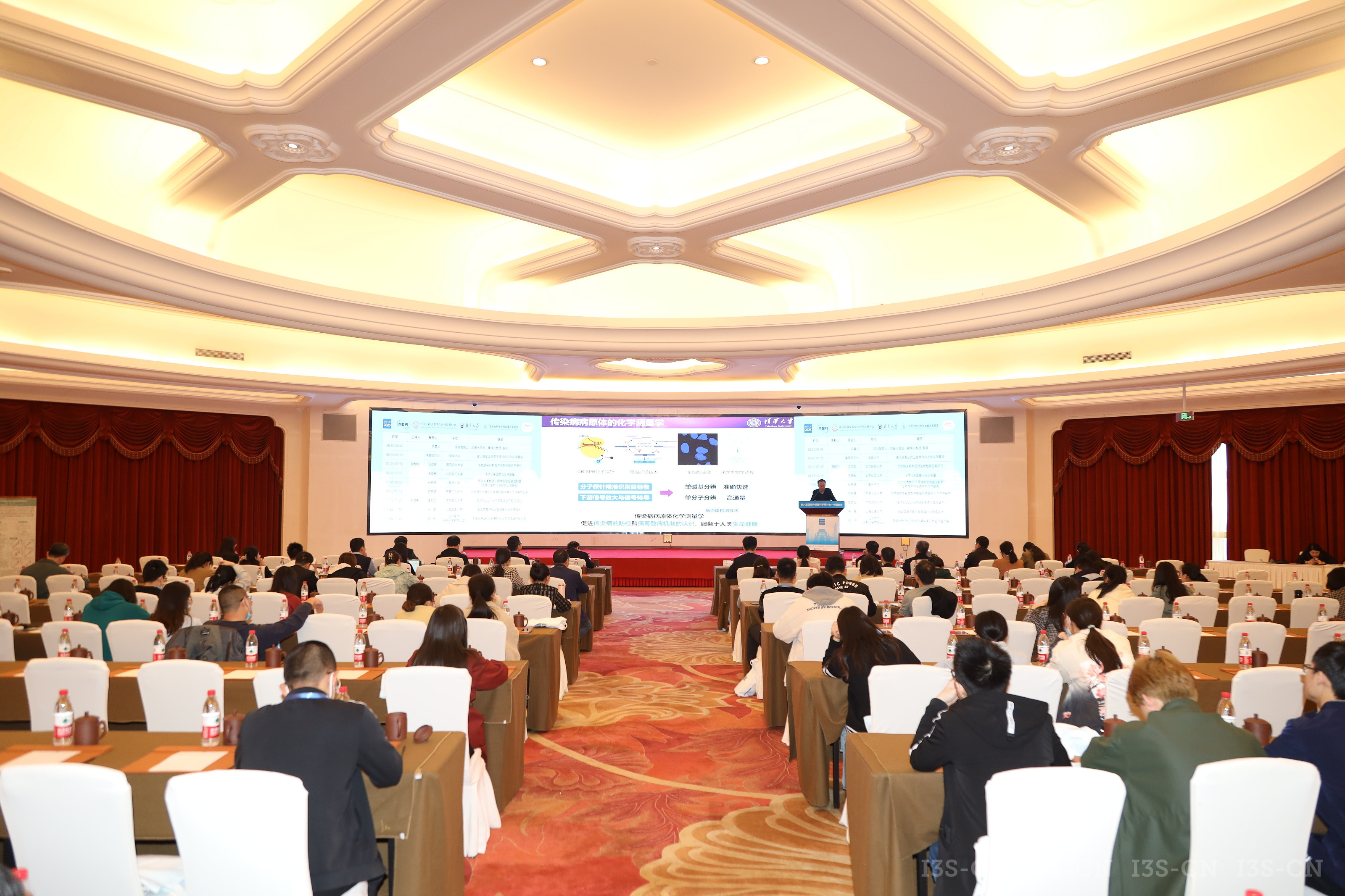 1762320740985599JOXC.jpeg fb262b633fcf5f219eea22841ecddf7d_rBOKpGQvbSeAFMQbABXhaZQ9luk63.jpeg